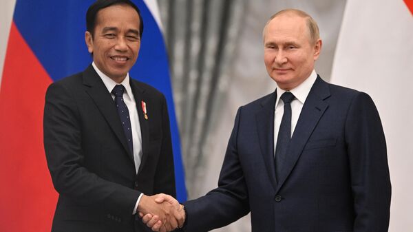 Rusya Devlet Başkanı Vladimir Putin ve Endonezya Devlet Başkanı Joko Widodo - Sputnik Türkiye