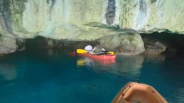 Akdeniz foklarının yaşam alanı mağaralara 'tur' tepkisi: ‘Rahatsız etmememiz gerekiyor’
 - Sputnik Türkiye