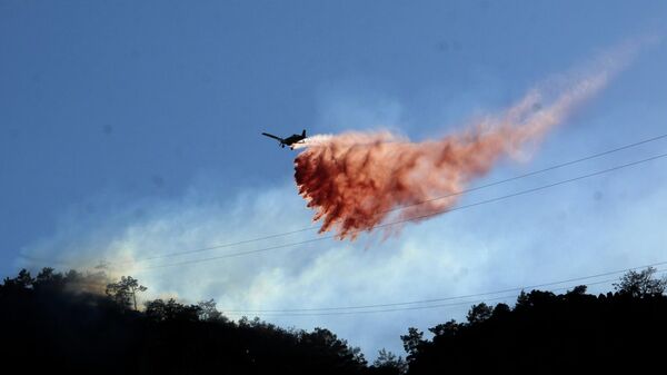 Antalya’daki orman yangını kontrol altına alındı  - Sputnik Türkiye