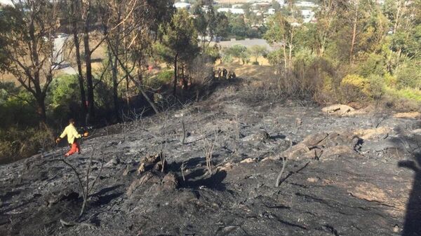 Anamur'da tarımsal alandaki yangın ormana 100 metre kala söndürüldü - Sputnik Türkiye