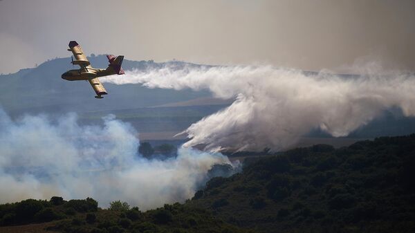 İspanya'da orman yangını - Sputnik Türkiye