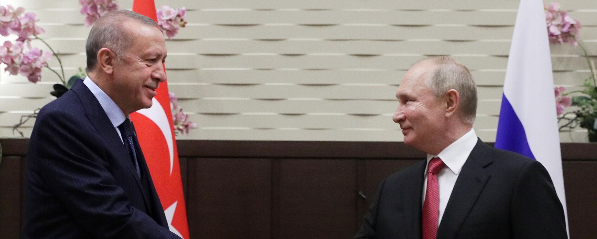 Devlet Başkanı Vladimir Putin ve Türkiye Cumhurbaşkanı Recep Tayyip Erdoğan - Sputnik Türkiye, 1920, 01.09.2023