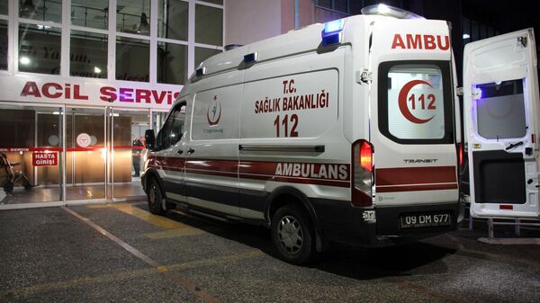 Aydın'ın Germencik ilçesinde 69 yaşındaki babasını darbederek öldürdüğü öne sürülen kişi tutuklandı. - Sputnik Türkiye