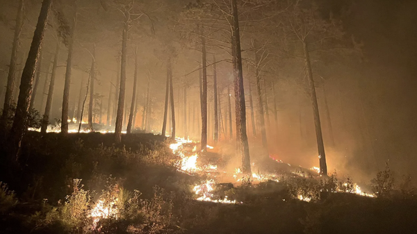 Kütahya'nın Emet ilçesindeki bir orman, alevlere teslim oldu. Saat 20:30 itibarıyla 6 yangın söndürme helikopterinin çalışmalarına ara verdiği belirtildi. Yangın büyüyerek devam ediyor. - Sputnik Türkiye