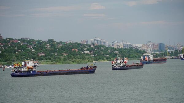 Rusya'nın Rostov-On-Don Limanı'nda, sevkiyatı yapılacak tahıllar gemilere yükleniyor - Sputnik Türkiye