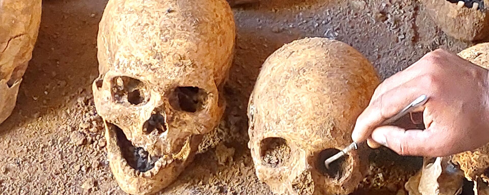 Adıyaman’da Roma Dönemi'ne ait mezar odasında kaçak kazı: 27 iskelet bulundu - Sputnik Türkiye, 1920, 06.09.2022