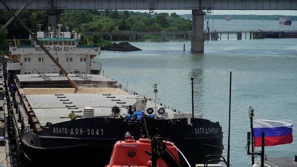 Rusya limanında tahıl gemileri hazırlanıyor - Sputnik Türkiye