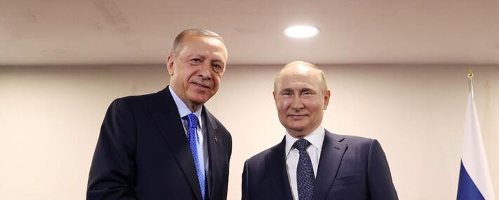 Cumhurbaşkanı Erdoğan, Rus mevkidaşı Putin ile birlikte - Sputnik Türkiye, 1920, 05.08.2022