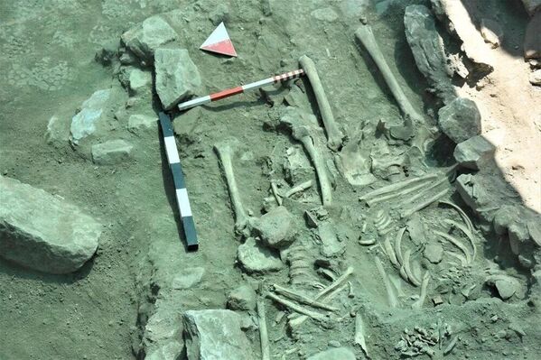İzmir Ayasuluk kazılarında yeni iskeletler bulundu: Bizans dönemine ait, üst üste gömülmüş - Sputnik Türkiye