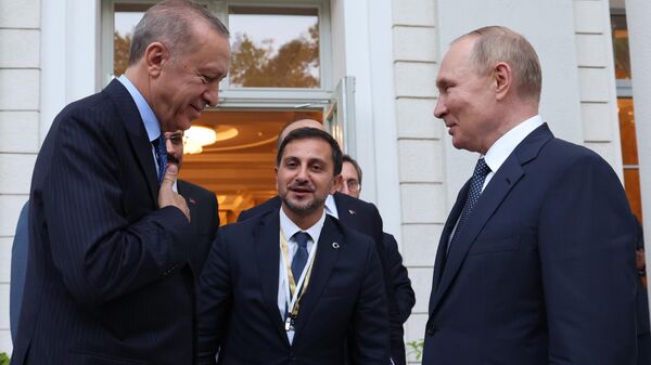 Rusya Devlet Başkanı Vladimir Putin, Türkiye Cumhurbaşkanı Recep Tayyip Erdoğan - Sputnik Türkiye