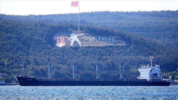 Ukrayna'dan denize açılan mısır yüklü 'Navi Star' Çanakkale Boğazı'ndan geçti - Sputnik Türkiye