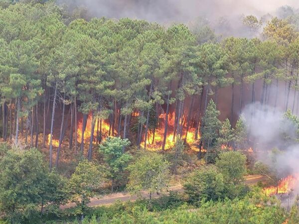 Gironde’de Temmuz ayında iki farklı noktada çıkan orman yangınlarında 20 bin hektardan fazla alan kül olurken, yaklaşık 40 bin kişi evlerinden tahliye edilmişti. - Sputnik Türkiye
