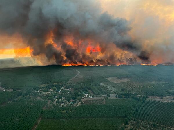 Yangında şu ana kadar 6 bin hektar alanın kül olduğu aktarılırken, Gironde’dedeki yeni yangının Landiras&#x27;ta Temmuz ayında çıkan ve kontrol altına alınamadığı belirtilen yangından kaynaklanmış olabileceği ihtimali üzerinde duruluyor. - Sputnik Türkiye