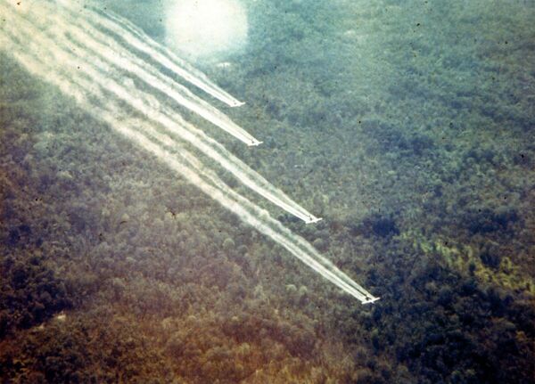 Vietnam savaşında ABD'nin zehirli kimyasal operasyonu - Sputnik Türkiye