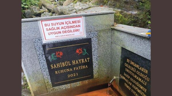 Rize'de 'şifalı' diye içilen su zehirli çıktı - Sputnik Türkiye