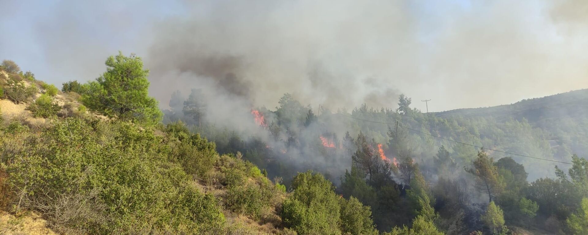 Manisa'nın Kula ilçesine bağlı Hamidiye Mahallesi'nde orman  yangını - Sputnik Türkiye, 1920, 21.08.2022