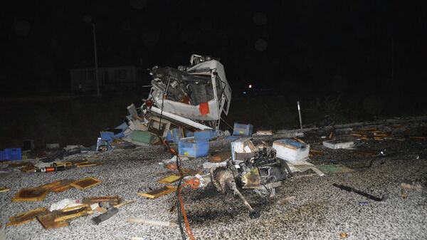 Muğla’nın Seydikemer ilçesinde arı kovanı yüklü kamyonla otomobilin çarpışması sonucu meydana gelen trafik kazası - Sputnik Türkiye