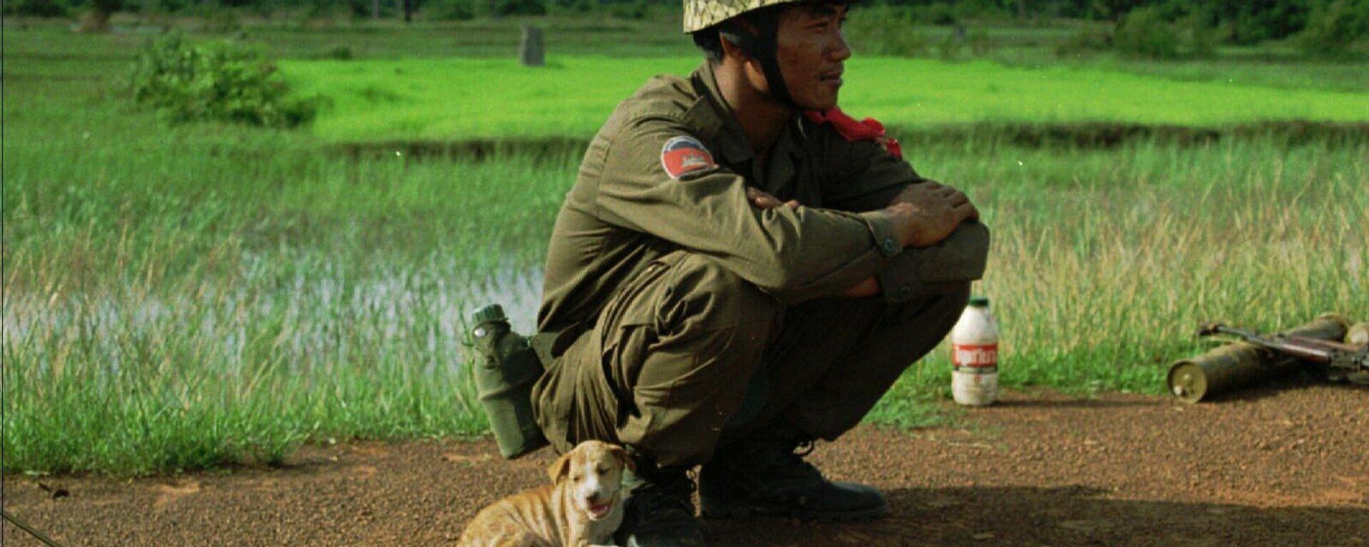 26 Ağustos Dünya Köpek Günü - Sputnik Türkiye, 1920, 09.12.2025