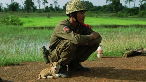 26 Ağustos Dünya Köpek Günü - Sputnik Türkiye