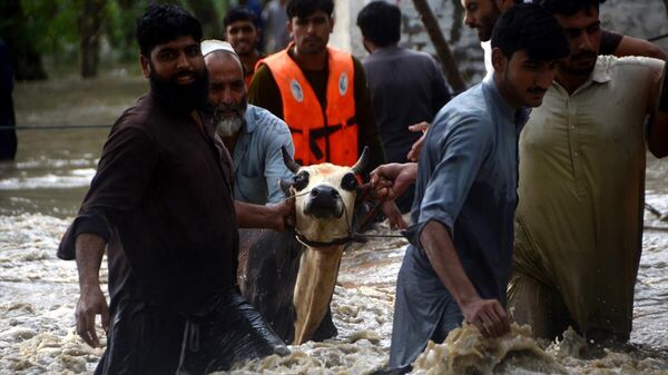 Pakistan'da muson yağmurları nedeniyle ulusal acil durum ilan edildi - Sputnik Türkiye