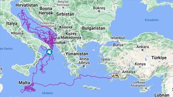 Uydu takibinde en uzun süre izlenen 'Caretta Tuba' 17 bin 500 kilometre yol gitti - Sputnik Türkiye