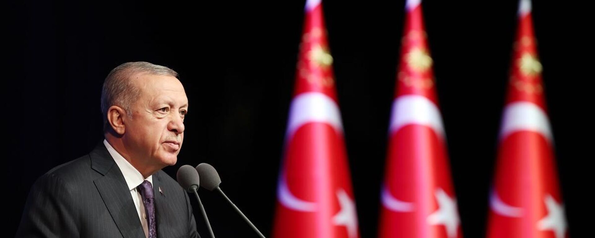 Cumhurbaşkanı Erdoğan - Sputnik Türkiye, 1920, 01.09.2022