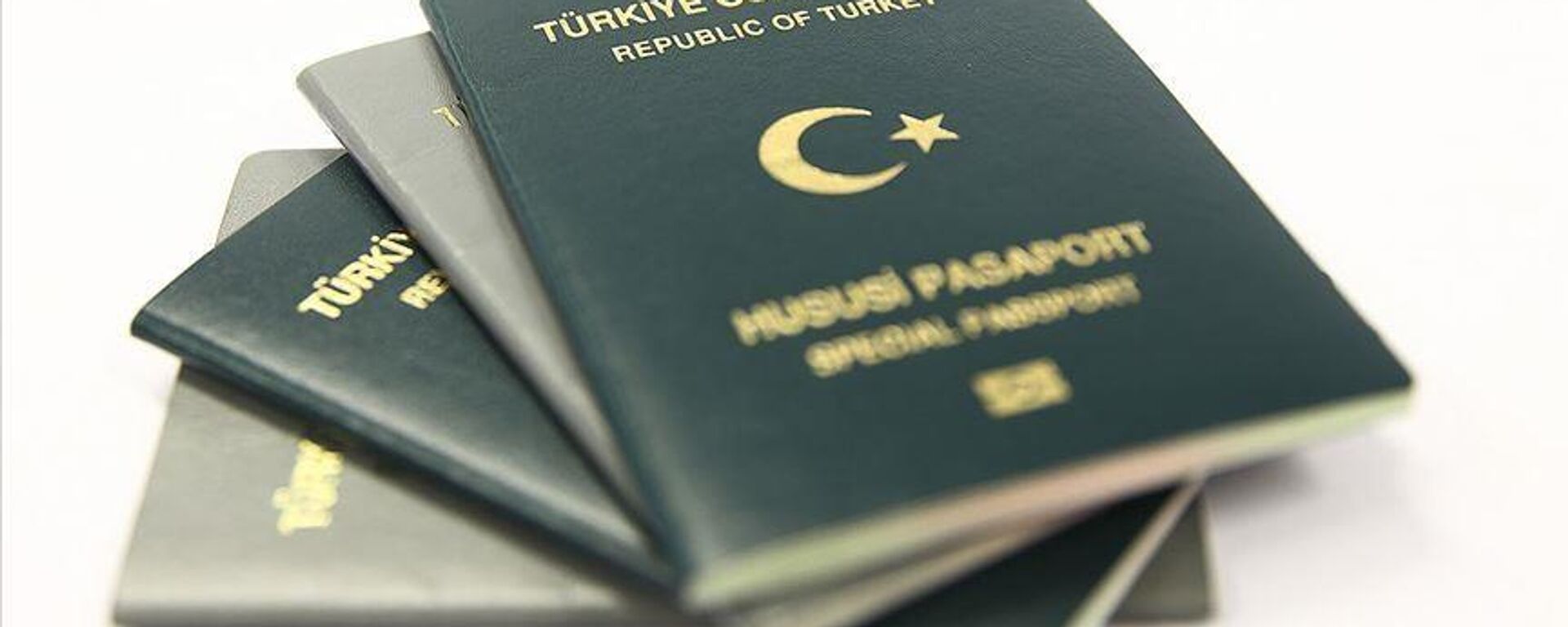 Yeşil pasaport - Sputnik Türkiye, 1920, 29.09.2022