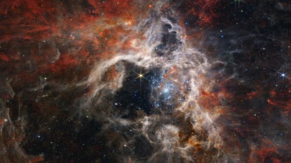 ABD Havacılık ve Uzay Ajansının (NASA) 25 Aralık 2021'de uzaya fırlattığı James Webb Uzay Teleskobu bu kez de Tarantula Bulutsusunu detaylı görüntüledi. - Sputnik Türkiye