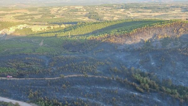 Soma'daki 16 saatlik orman yangınında 60 hektar alan zarar gördü - Sputnik Türkiye