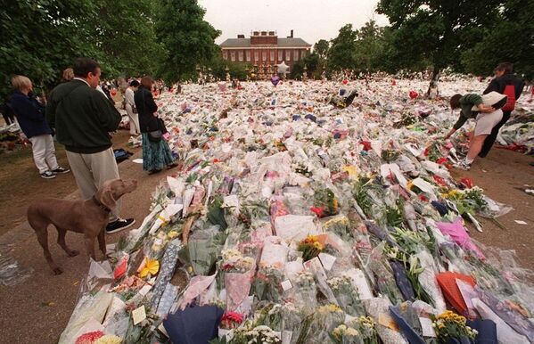 Cenaze töreni 2 buçuk milyar kişi tarafından izlenen Prenses Diana, Londralılar tarafından 'Halkın Prensesi' olarak anılıyordu. - Sputnik Türkiye