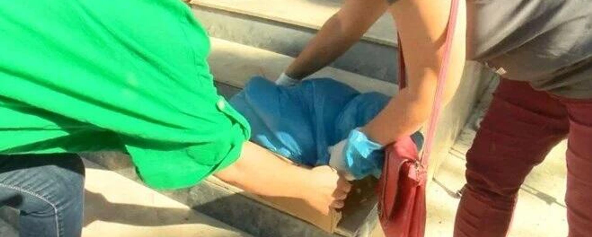 Ankara'da çamaşır suyu ile kedi ölümüne inceleme - Sputnik Türkiye, 1920, 20.09.2022