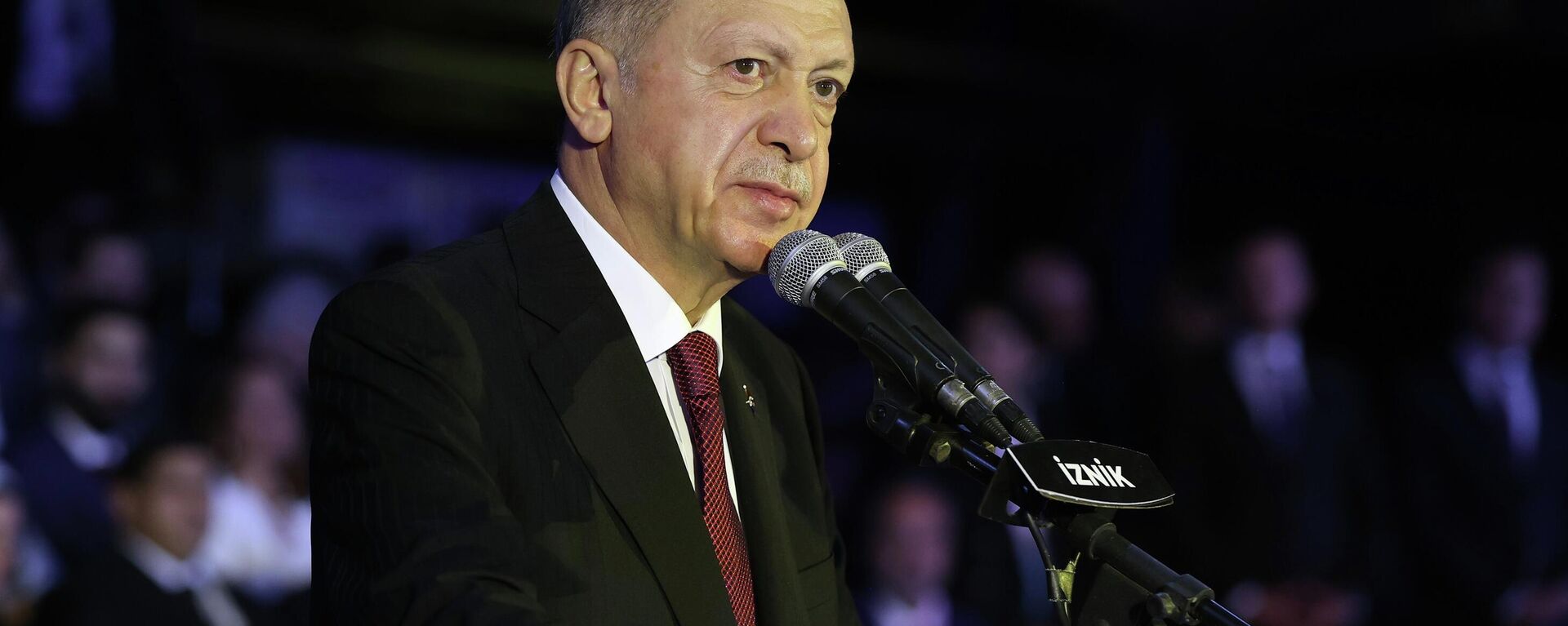 Cumhurbaşkanı Recep Tayyip Erdoğan - Sputnik Türkiye, 1920, 30.09.2022
