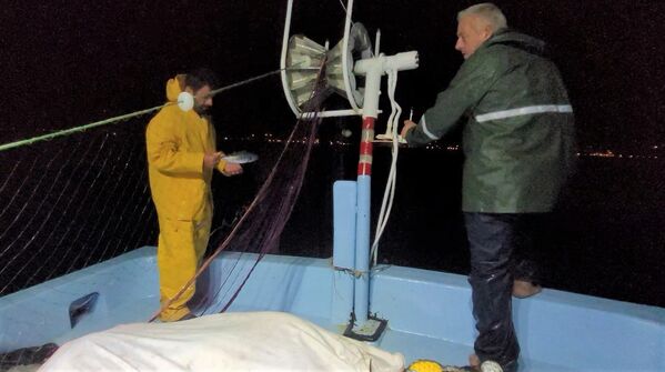 Kasa kasa palamut yakalama umuduyla yola çıktılar, gece boyunca 2 balık avlayabildiler - Sputnik Türkiye