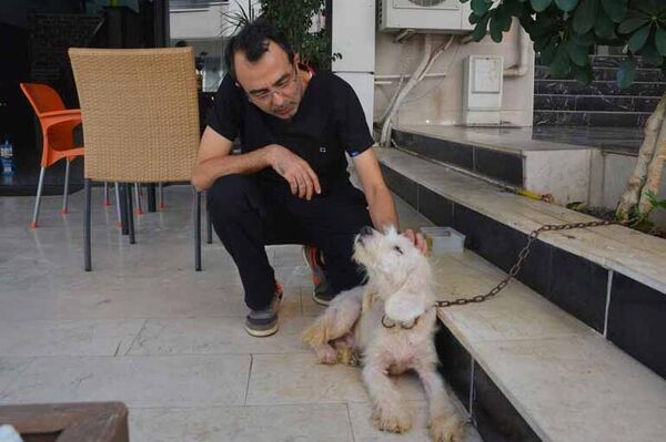 Köpek, aynı mahalledeki veteriner hekim Ahmet Serdar Yazan&#x27;ın kliniğine gitti. Yazan, bitkin gördüğü köpeği tedaviye aldı. - Sputnik Türkiye