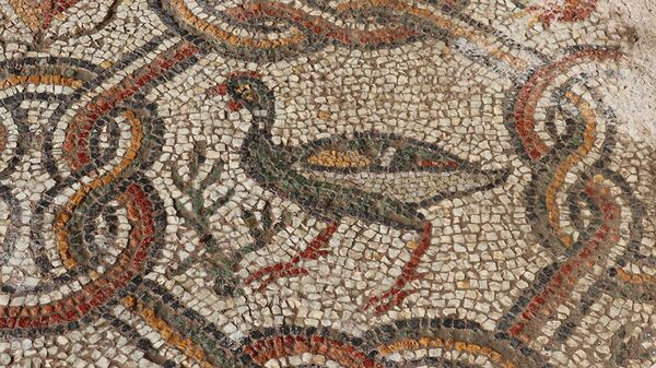 Hadrianopolis'te üzerinde meyve sepeti ve hayvan figürleri bulunan mozaikler  - Sputnik Türkiye