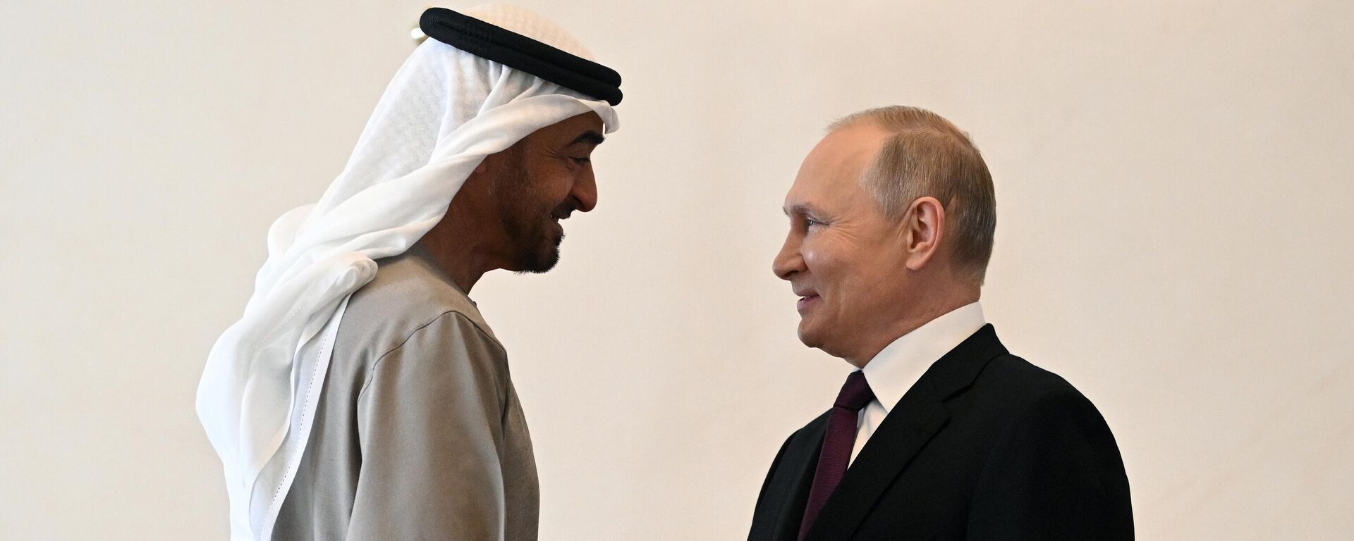 Rusya Devlet Başkanı Vladimir Putin ve Birleşik Arap Emirlikleri (BAE) Devlet Başkanı Muhammed bin Zayid Al Nahyan - Sputnik Türkiye, 1920, 02.03.2023