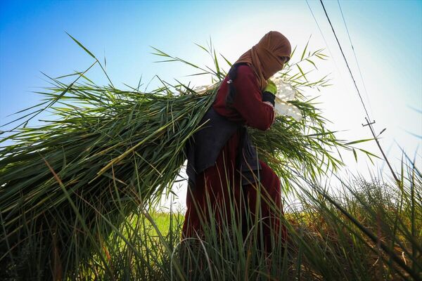 Irak&#x27;ın başkenti Bağdat&#x27;ın kırsalında yaşayan kadın çiftçiler de objektiflere yansıdı. - Sputnik Türkiye
