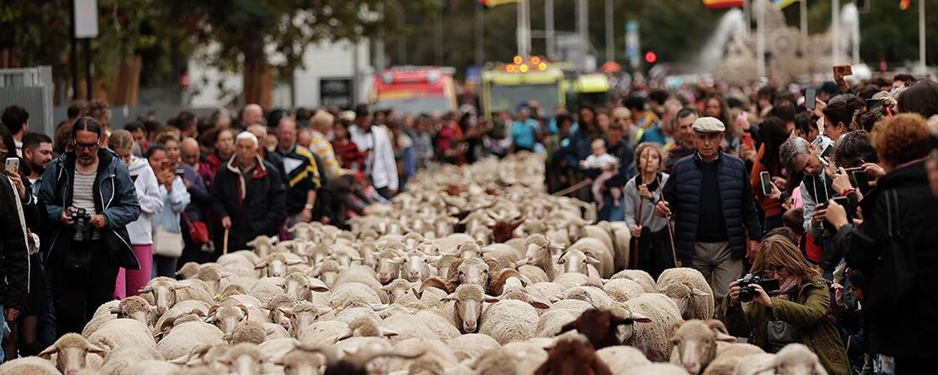 İspanya'nın başkenti Madrid'de, Orta Çağ geleneklerinden biri olan ve Trashumancia Şenliği adıyla bu yıl 29'uncusu düzenlenen etkinlikte 1200 koyun ve 200 keçi başlarında çobanlarıyla kent sokaklarından geçirildi. - Sputnik Türkiye, 1920, 23.10.2022