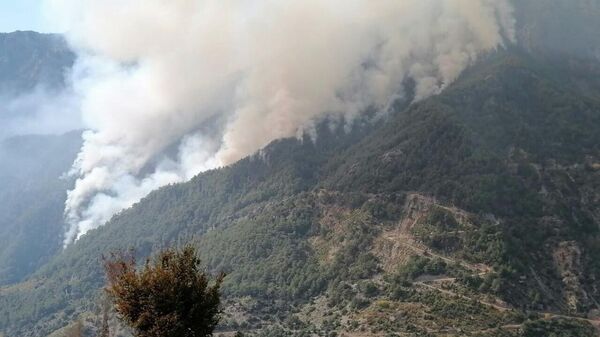 Osmaniye'deki orman yangını dördüncü günde kontrol altında - Sputnik Türkiye