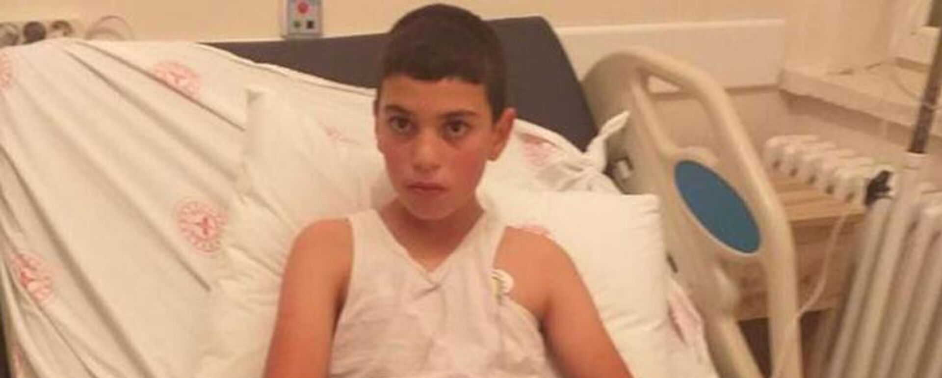 Bitlis'te sokak köpeklerinin ısırması sonucu kuduz teşhisi konulan 10 yaşındaki Mustafa Erçetin, - Sputnik Türkiye, 1920, 09.11.2022