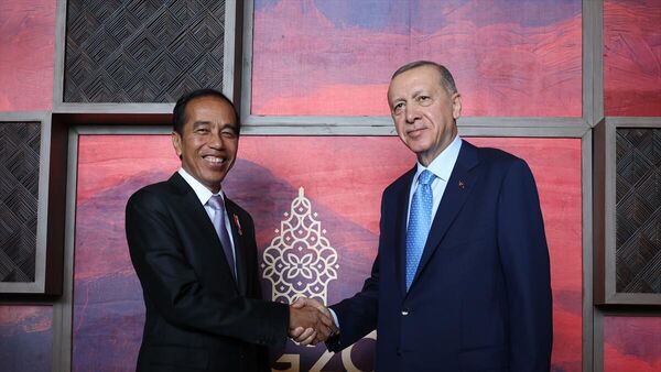 Cumhurbaşkanı Erdoğan, Endonezya Devlet Başkanı Widodo ile görüştü - Sputnik Türkiye