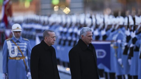 Cumhurbaşkanı Erdoğan, Küba Devlet Başkanı Diaz-Canel - Sputnik Türkiye