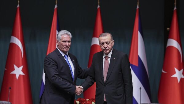 Cumhurbaşkan Erdoğan, Küba Devlet Başkanı Diaz-Canel - Sputnik Türkiye