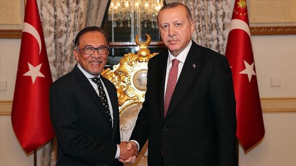 Cumhurbaşkanı Recep Tayyip Erdoğan, Malezya Başbakanı Enver İbrahim  - Sputnik Türkiye
