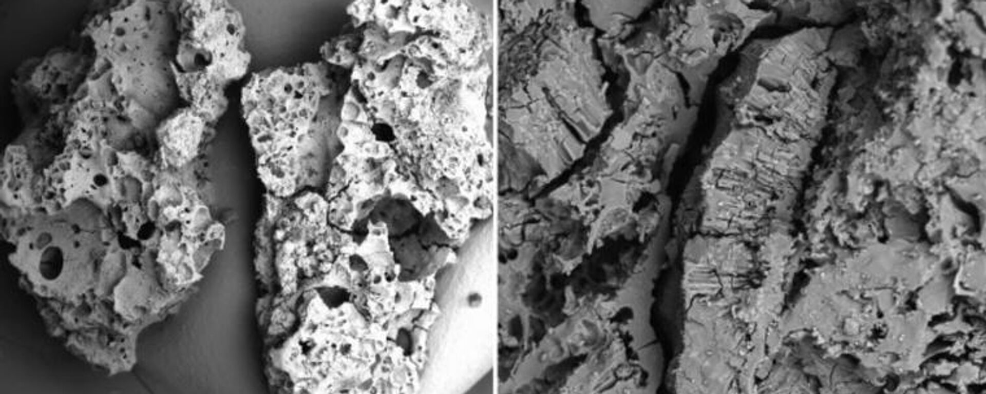 dünyanın en eski pişirilmiş yemek kalıntıları - Sputnik Türkiye, 1920, 27.11.2022
