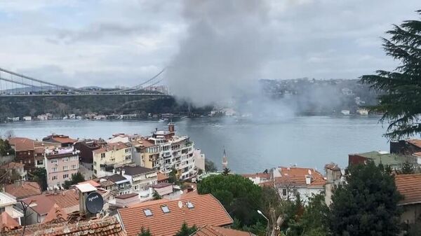 Beykoz'da yangın: Dumanlar İstanbul Boğazı'nda bir çok noktada görüldü - Sputnik Türkiye