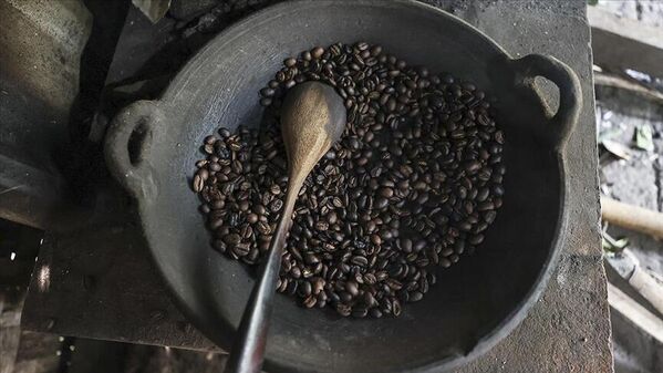 Dünyanın en pahalı kahvesi, Misk kedisinin midesinde mayalanıyor - Sputnik Türkiye