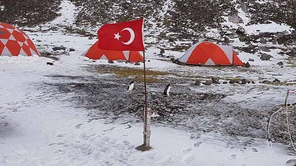 Mikroplastik kirliliği Antarktika'ya kadar ulaştı - Sputnik Türkiye