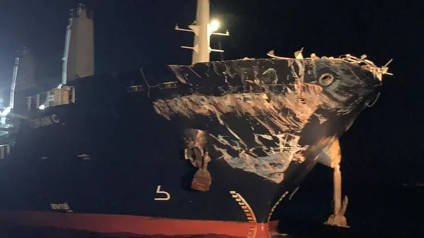 İstanbul Boğazı'nda iki gemi çarpıştı, Kıyı Emniyet Genel Müdürlüğü ekipleri olay yerine sevk edildi. - Sputnik Türkiye