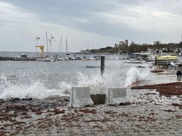 Anadolu Yakası’nda etkisini gösteren lodos, Kadıköy Caddebostan sahilini yine kırmızı yosunlarla kapladı. - Sputnik Türkiye